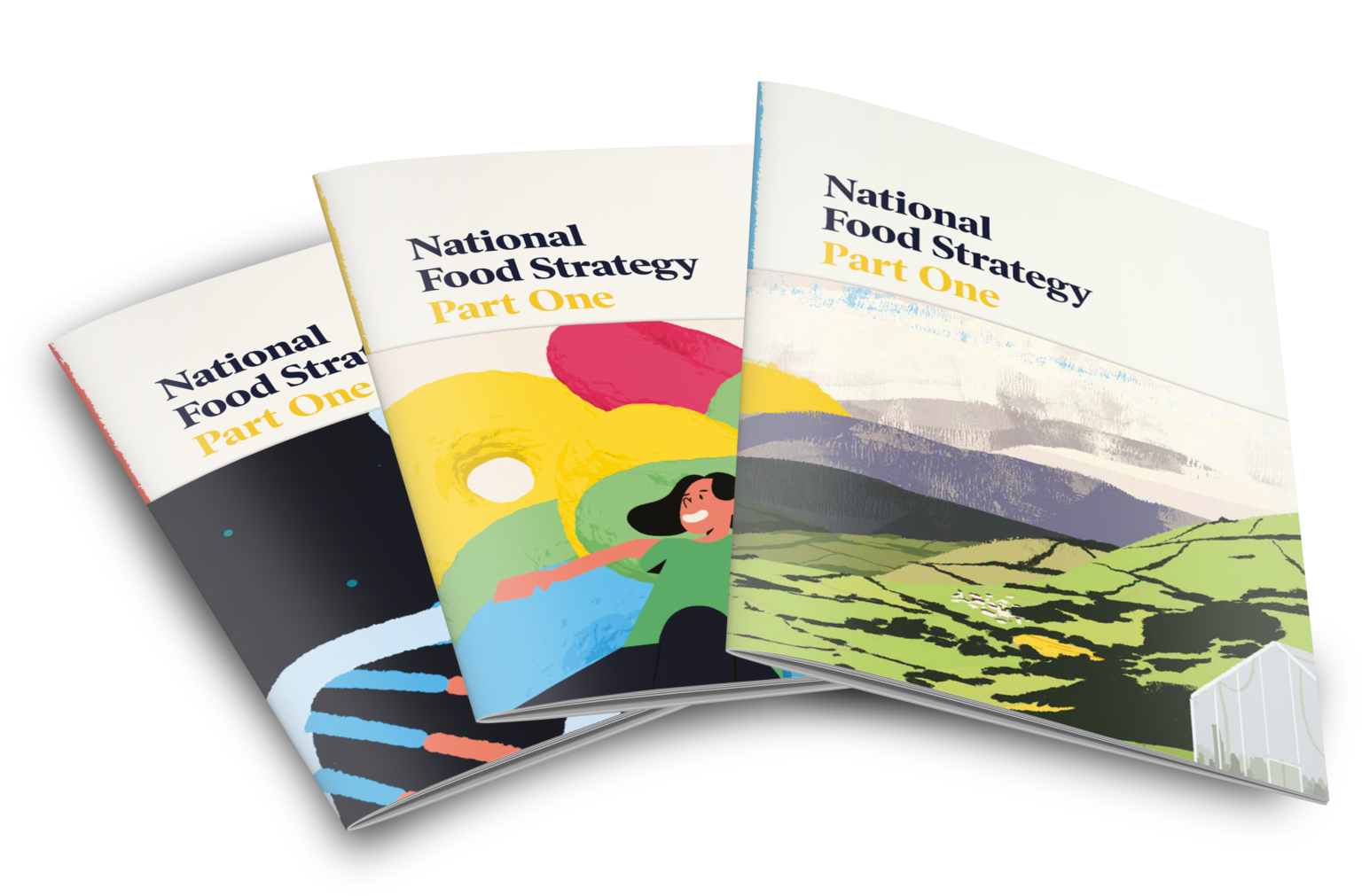 The National Food Strategy Plmr